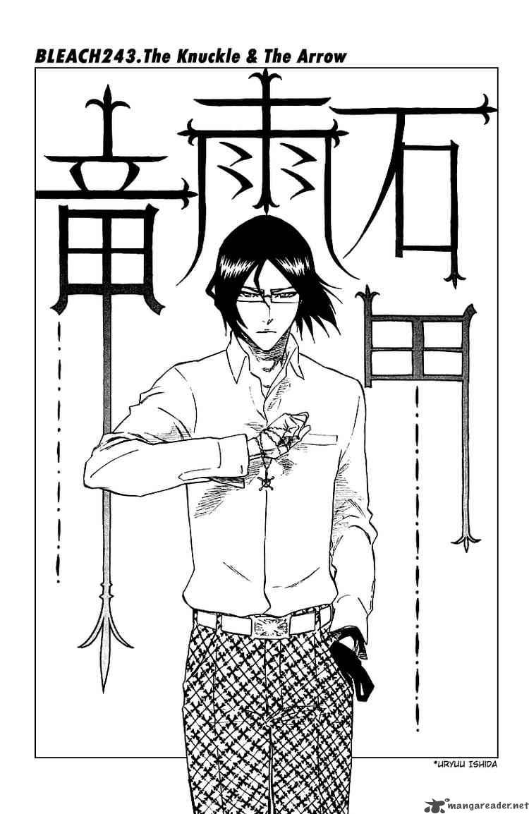 BLEACH Chapter 243 - Page 10