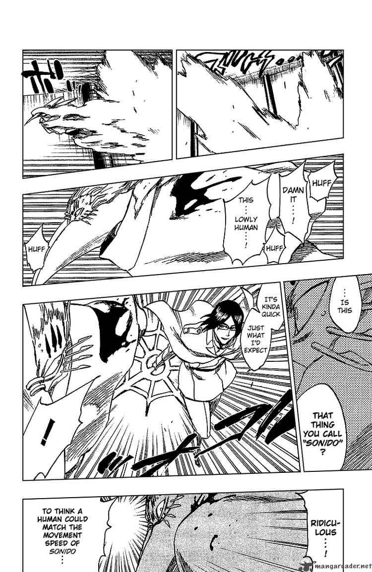 BLEACH Chapter 243 - Page 15