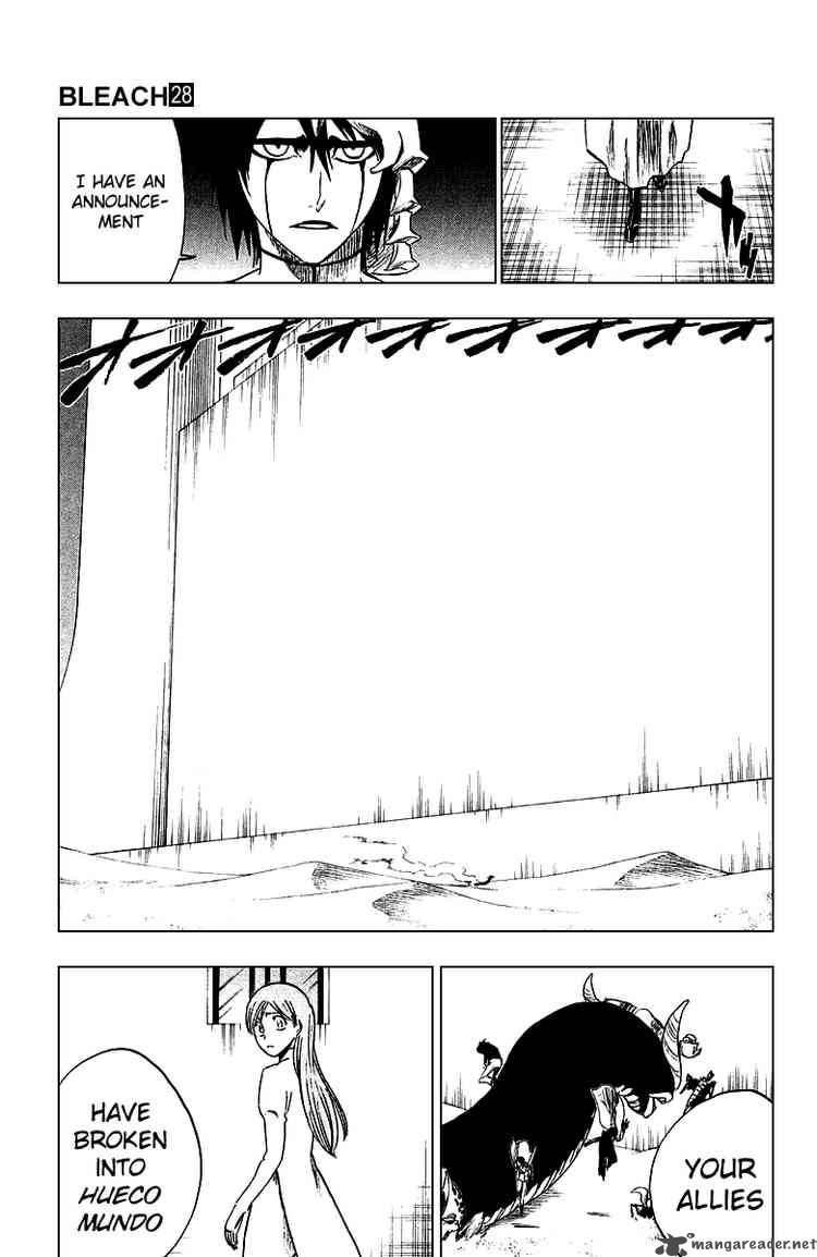 BLEACH Chapter 247 - Page 17