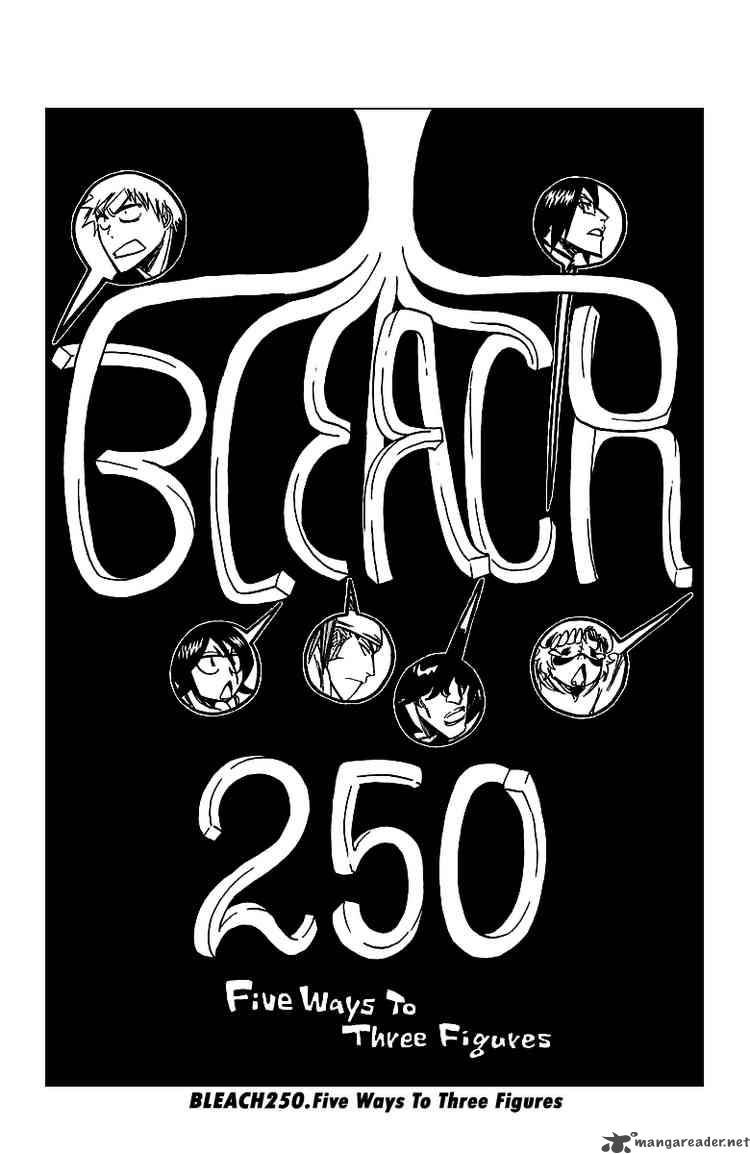 BLEACH Chapter 250 - Page 3