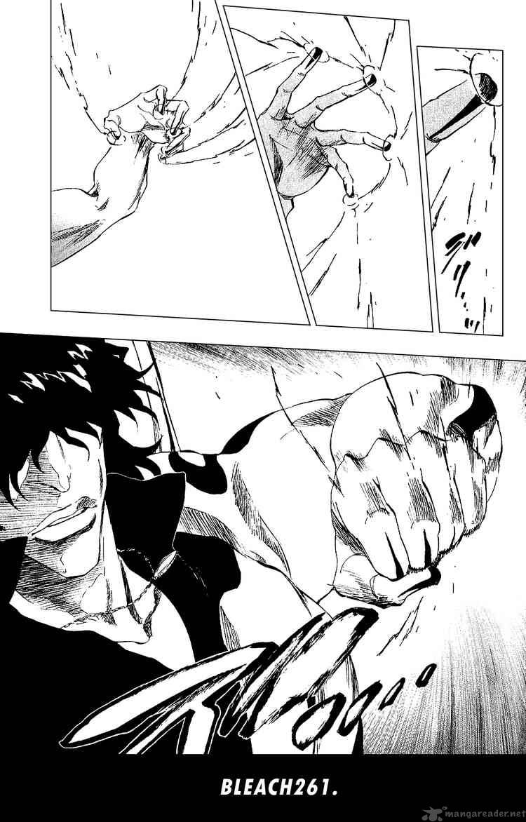 BLEACH Chapter 261 - Page 14