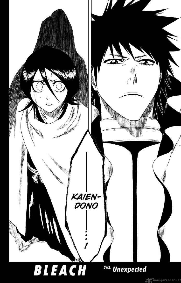 BLEACH Chapter 263 - Page 2