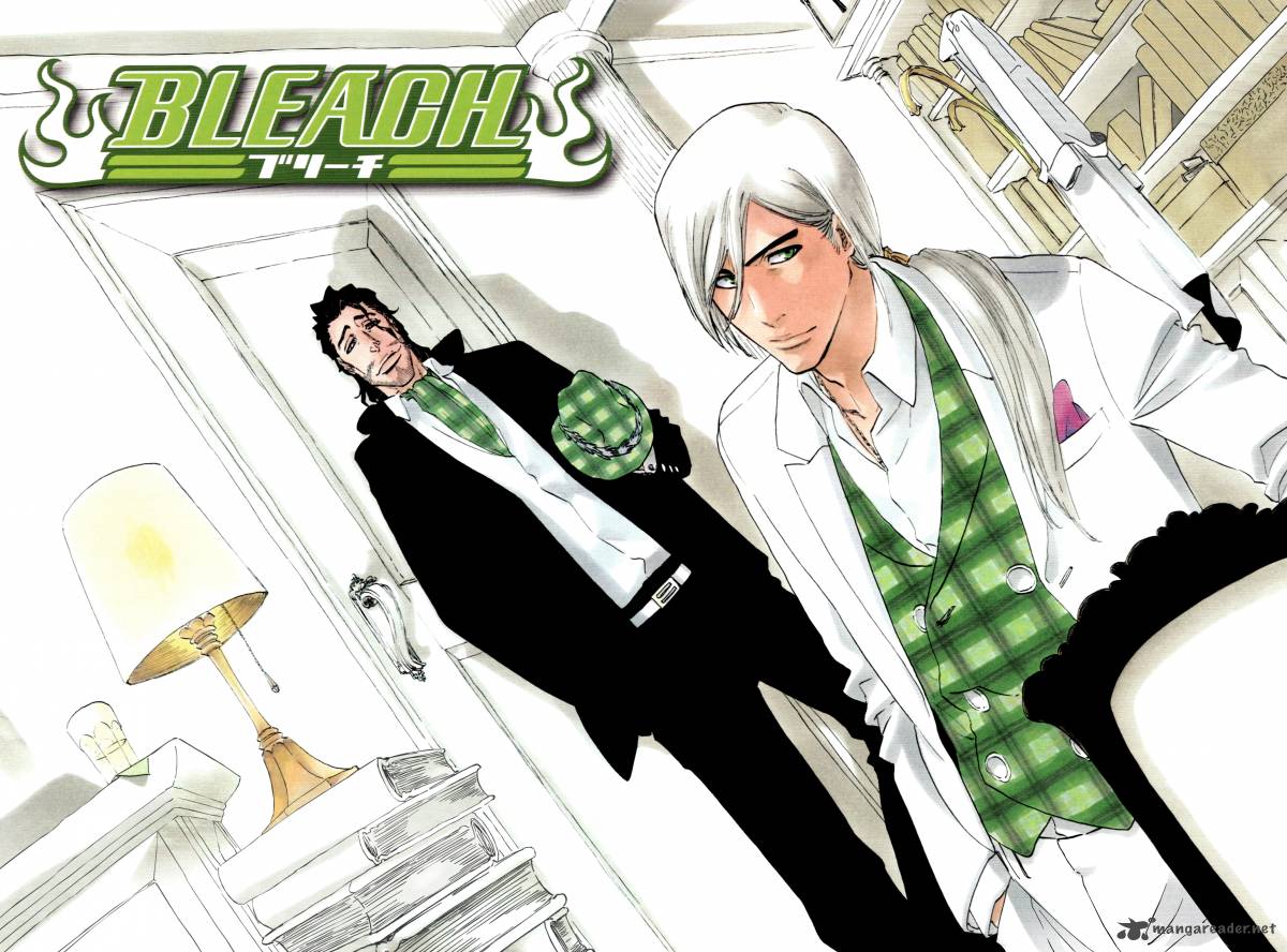 BLEACH Chapter 335 - Page 25