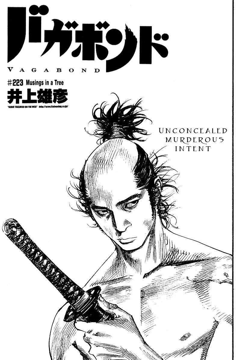 Vagabond Chapter 223 - Page 1
