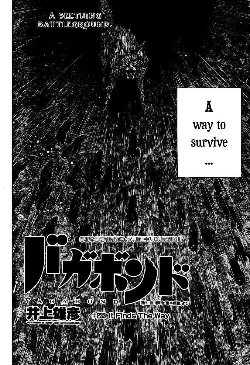 Vagabond Chapter 233 - Page 3