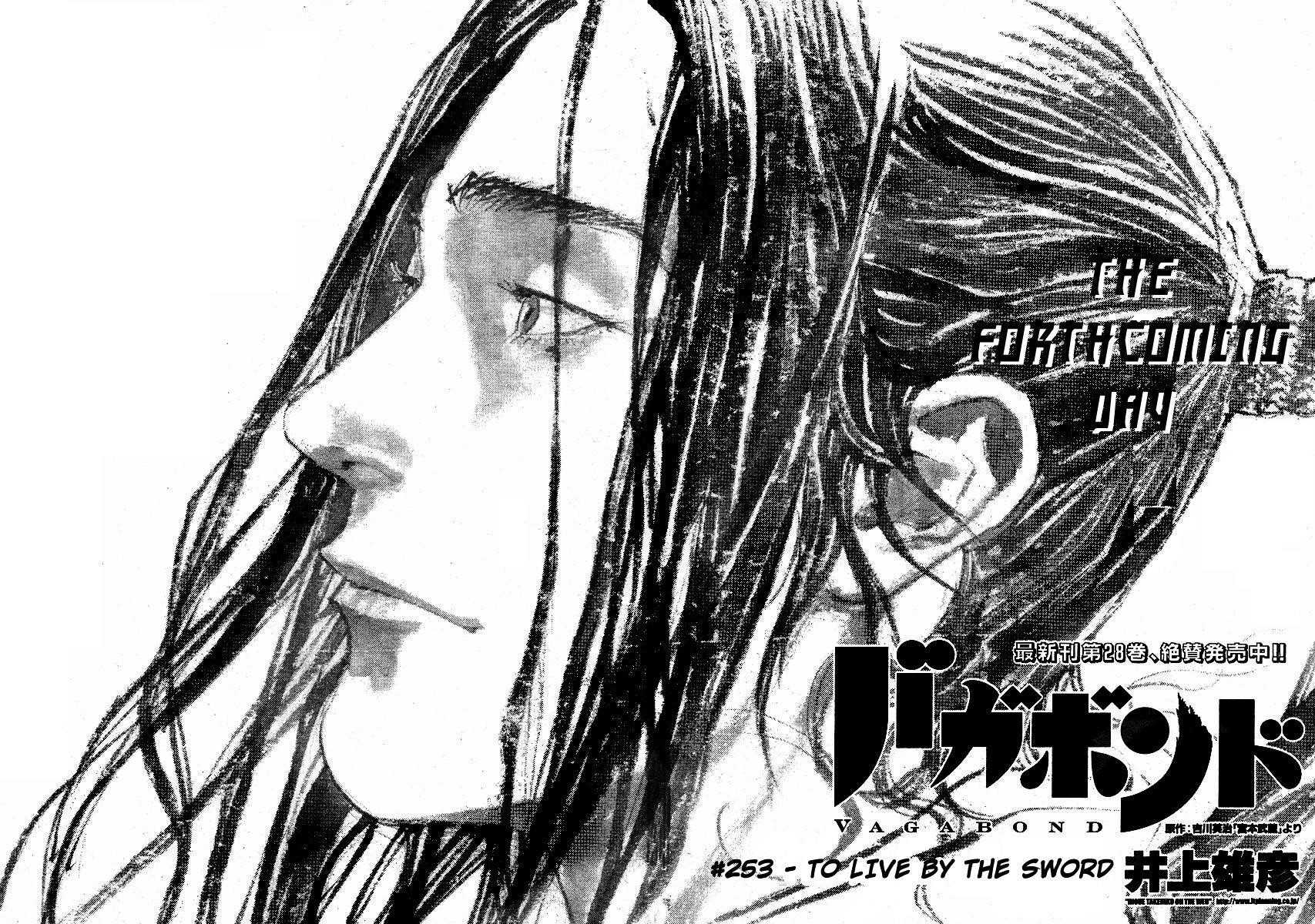 Vagabond Chapter 253 - Page 3