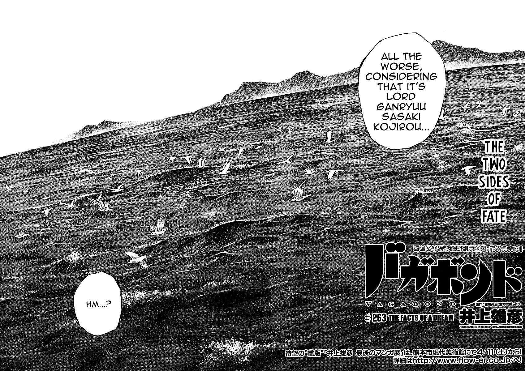 Vagabond Chapter 263 - Page 2