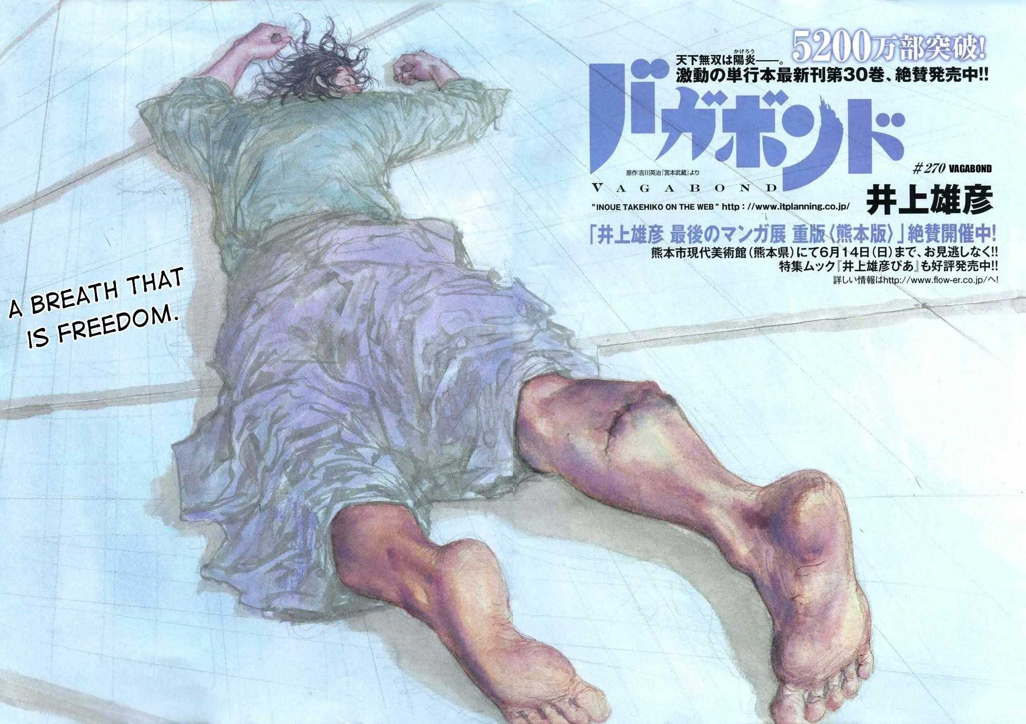 Vagabond Chapter 270 - Page 3